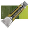 281 Transparent Yellow Green Culori ulei Rembrandt Artists' Oil 40ml