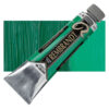619 Permanent Green Deep Culori ulei Rembrandt Artists' Oil 40ml
