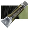 620 Olive Green Culori ulei Rembrandt Artists' Oil 40ml