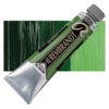 623 Sap Green Culori ulei Rembrandt Artists' Oil 40ml
