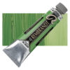 625 Cinnabar Green Medium Culori ulei Rembrandt Artists' Oil 40ml