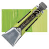 633 Permanent Yellow Green Culori ulei Rembrandt Artists' Oil 40ml