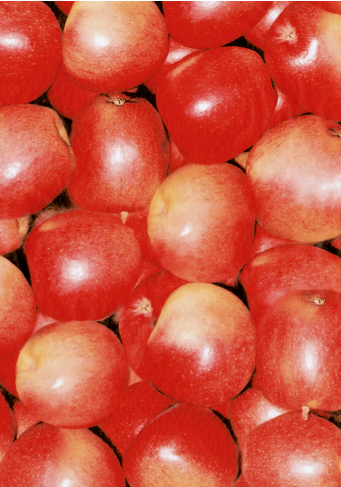 Hartie Apples Decopatch 30X40cm