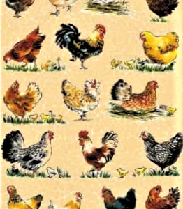 Hartie Chicken Decopatch 30X40cm