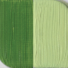 Culori ulei Graduate Daler Rowney 38ML FL117038375 Sap Green pentru pictură artistică în ulei, lucrări creative și studii de culoare.