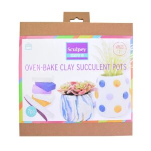 Kit Pasta Polimerica Sculpey III pentru Ghivece de Suculente