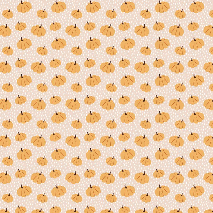 Hartie Origami set 60 Foi Autumn Clairefontaine - imagine 10