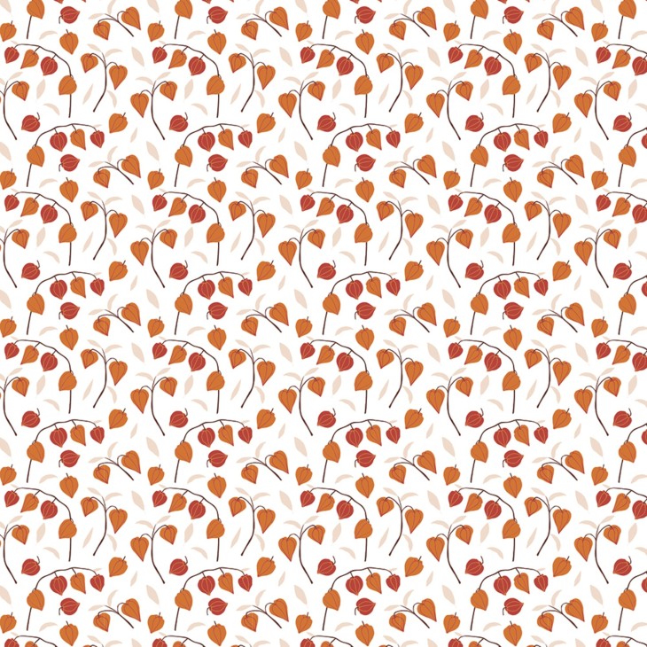 Hartie Origami set 60 Foi Autumn Clairefontaine - imagine 6