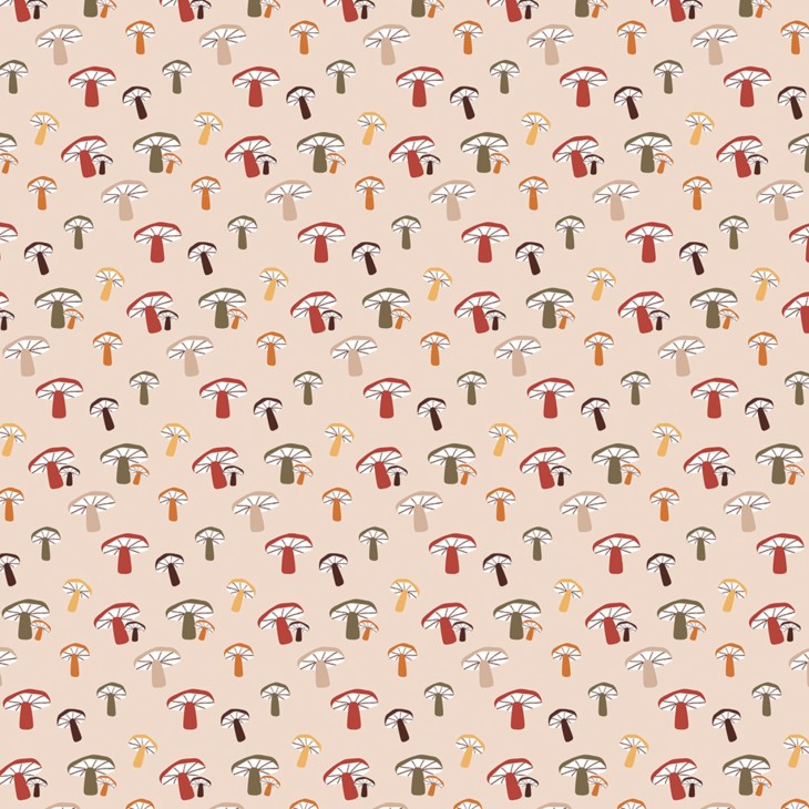 Hartie Origami set 60 Foi Autumn Clairefontaine - imagine 8