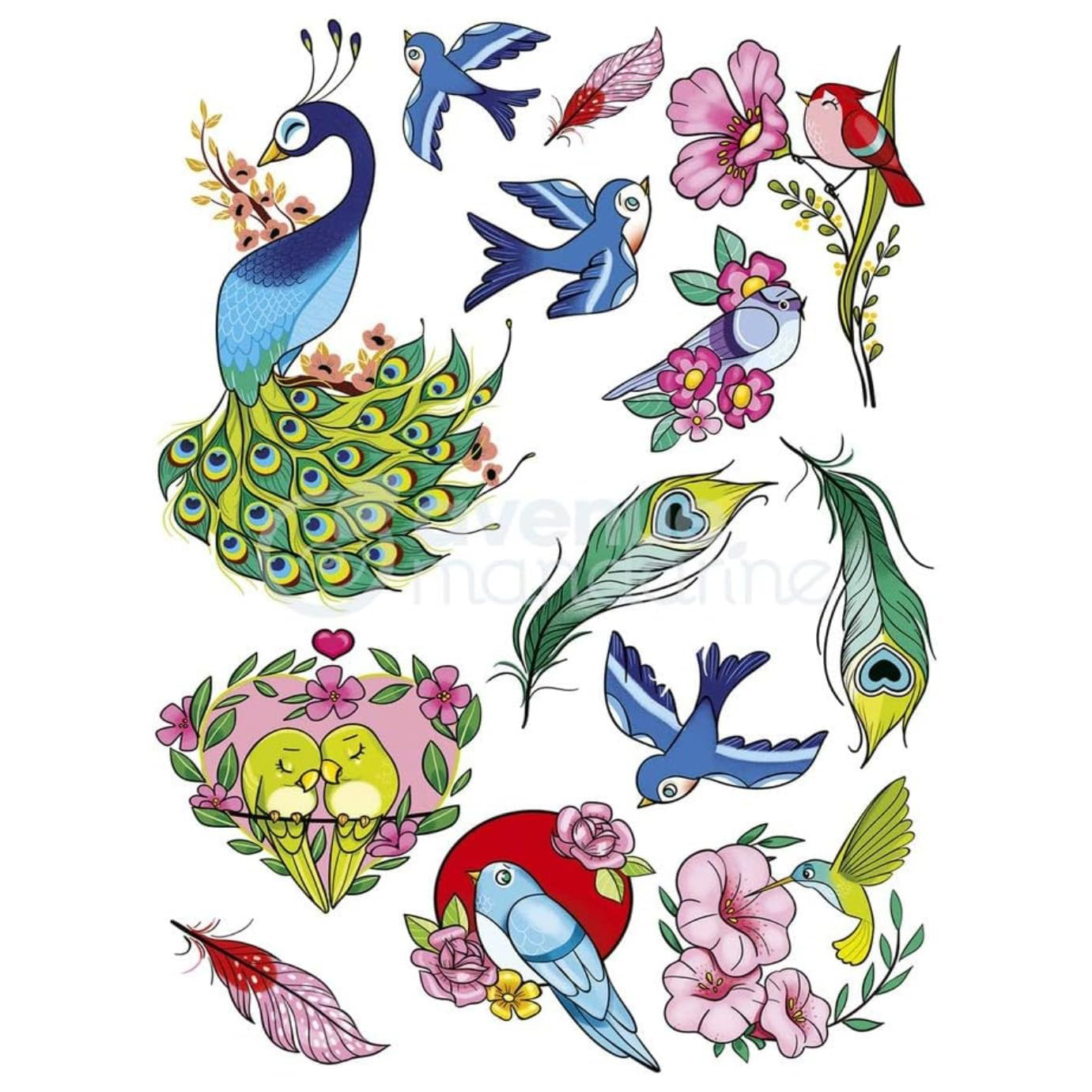 Modelele incluse, ilustrate de Emmanuelle Colin